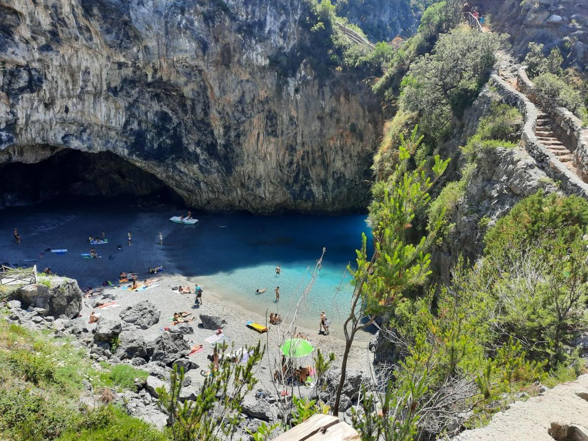 Amici Di Calabria *